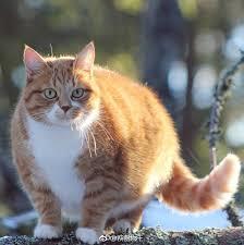 ���ޣ�16�꣬�ϵ���Ϯʲô��