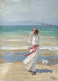 ���Ʋ��Ĺ�